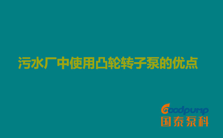 污水廠中使用凸輪轉子泵的優(yōu)點